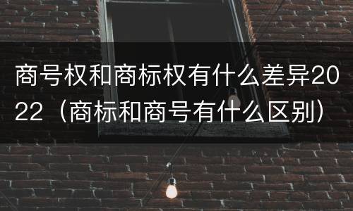 商号权和商标权有什么差异2022（商标和商号有什么区别）