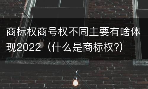 商标权商号权不同主要有啥体现2022（什么是商标权?）