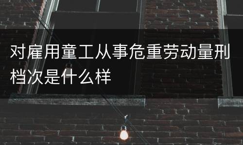 对雇用童工从事危重劳动量刑档次是什么样