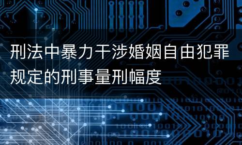 刑法中暴力干涉婚姻自由犯罪规定的刑事量刑幅度