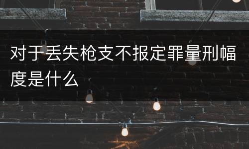 对于丢失枪支不报定罪量刑幅度是什么