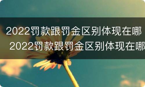 2022罚款跟罚金区别体现在哪 2022罚款跟罚金区别体现在哪些方面