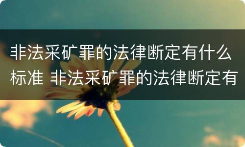 非法采矿罪的法律断定有什么标准 非法采矿罪的法律断定有什么标准吗