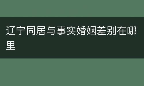 辽宁同居与事实婚姻差别在哪里