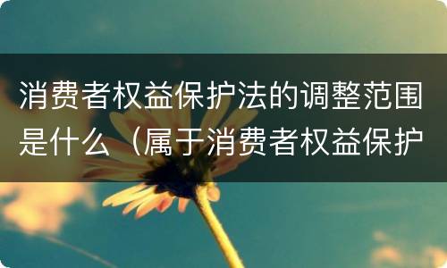 消费者权益保护法的调整范围是什么（属于消费者权益保护法调整的是）