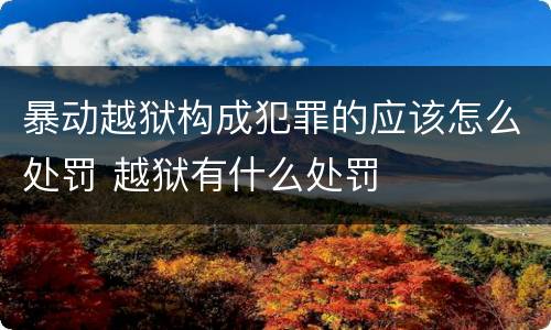 暴动越狱构成犯罪的应该怎么处罚 越狱有什么处罚