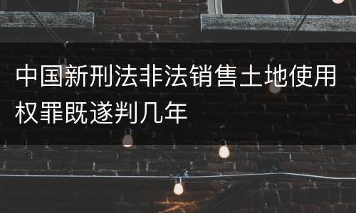 中国新刑法非法销售土地使用权罪既遂判几年