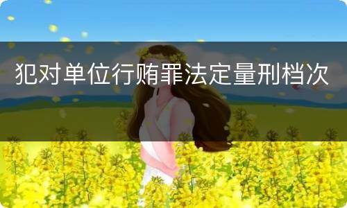 犯对单位行贿罪法定量刑档次