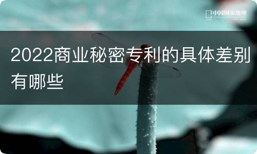 2022商业秘密专利的具体差别有哪些