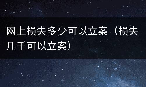 网上损失多少可以立案（损失几千可以立案）