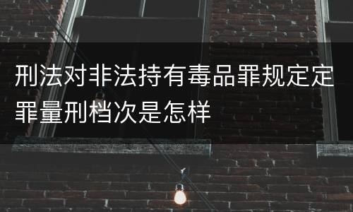 刑法对非法持有毒品罪规定定罪量刑档次是怎样