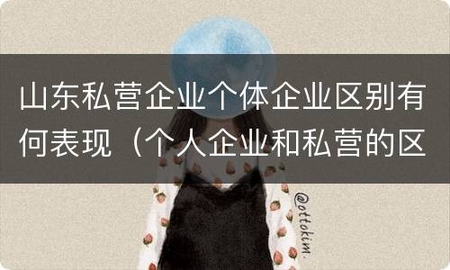 山东私营企业个体企业区别有何表现（个人企业和私营的区别）
