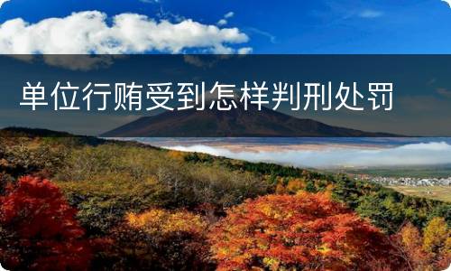 单位行贿受到怎样判刑处罚