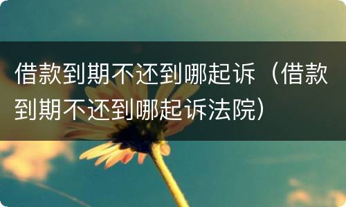借款到期不还到哪起诉（借款到期不还到哪起诉法院）