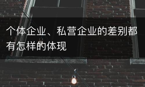 个体企业、私营企业的差别都有怎样的体现