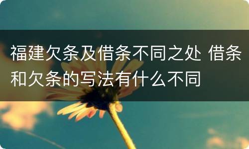 福建欠条及借条不同之处 借条和欠条的写法有什么不同