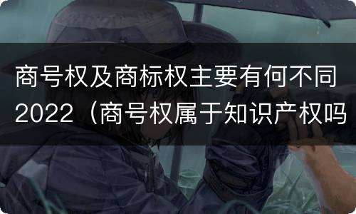 商号权及商标权主要有何不同2022（商号权属于知识产权吗）