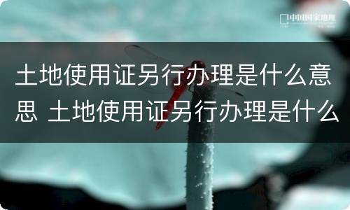 土地使用证另行办理是什么意思 土地使用证另行办理是什么意思啊
