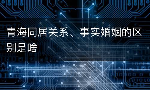 青海同居关系、事实婚姻的区别是啥