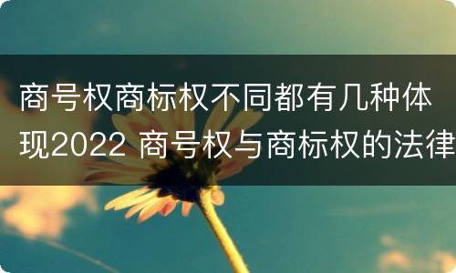 商号权商标权不同都有几种体现2022 商号权与商标权的法律冲突与解决