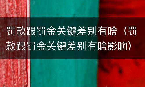 罚款跟罚金关键差别有啥（罚款跟罚金关键差别有啥影响）