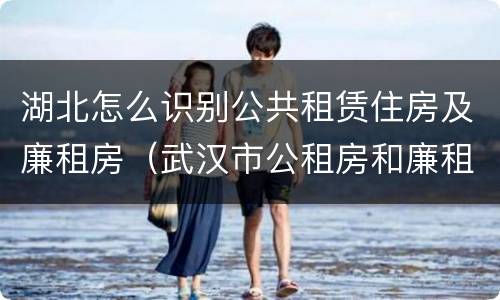 湖北怎么识别公共租赁住房及廉租房（武汉市公租房和廉租房区别）