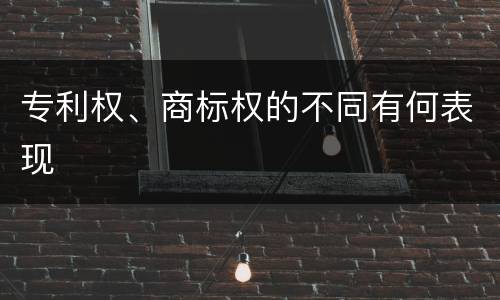 专利权、商标权的不同有何表现