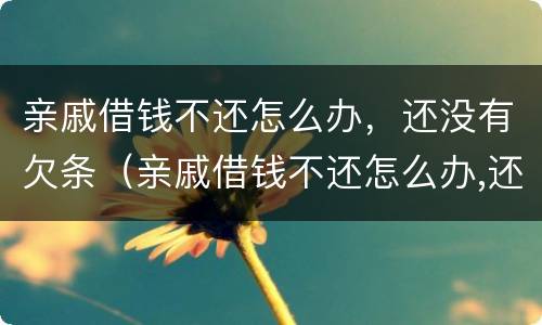 亲戚借钱不还怎么办，还没有欠条（亲戚借钱不还怎么办,还没有欠条怎么起诉）