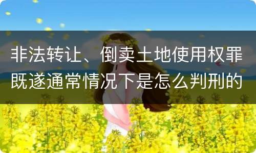 非法转让、倒卖土地使用权罪既遂通常情况下是怎么判刑的