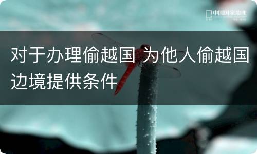 对于办理偷越国 为他人偷越国边境提供条件