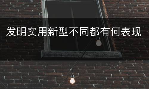 发明实用新型不同都有何表现