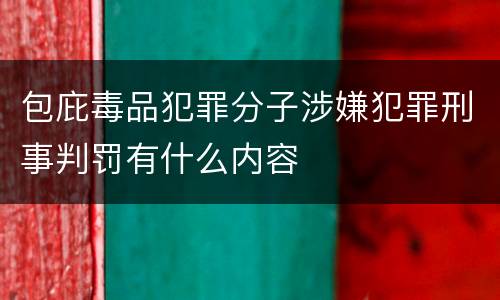 包庇毒品犯罪分子涉嫌犯罪刑事判罚有什么内容
