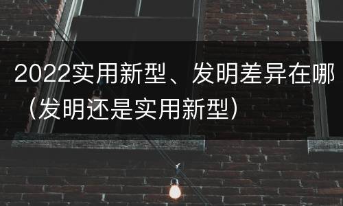 2022实用新型、发明差异在哪（发明还是实用新型）