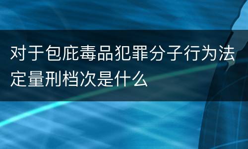 对于包庇毒品犯罪分子行为法定量刑档次是什么