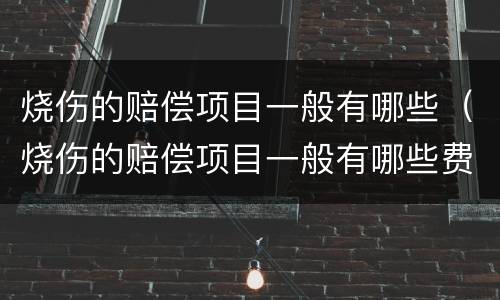 烧伤的赔偿项目一般有哪些（烧伤的赔偿项目一般有哪些费用）