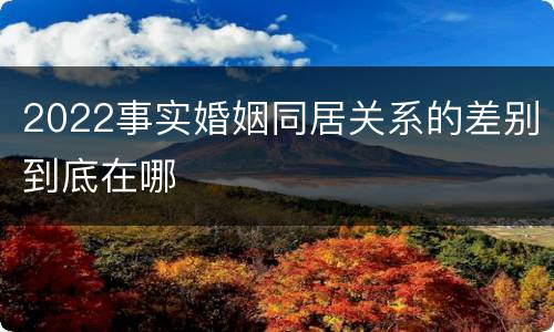 2022事实婚姻同居关系的差别到底在哪