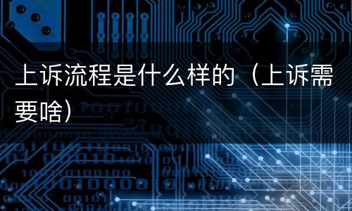 上诉流程是什么样的（上诉需要啥）