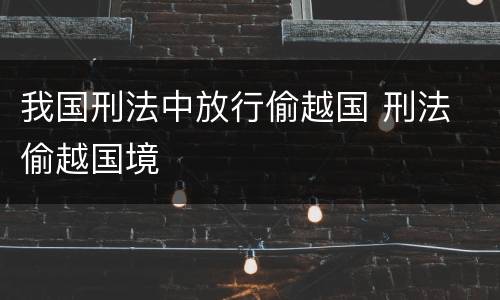 我国刑法中放行偷越国 刑法 偷越国境