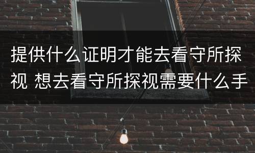 提供什么证明才能去看守所探视 想去看守所探视需要什么手续