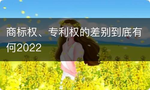 商标权、专利权的差别到底有何2022