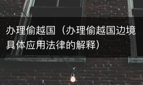 办理偷越国（办理偷越国边境具体应用法律的解释）