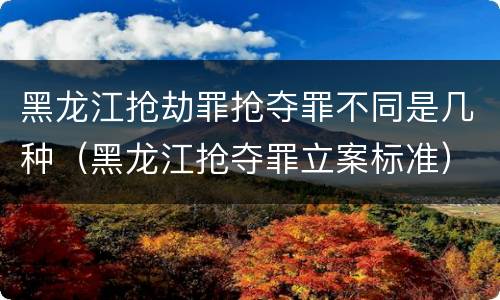 黑龙江抢劫罪抢夺罪不同是几种（黑龙江抢夺罪立案标准）