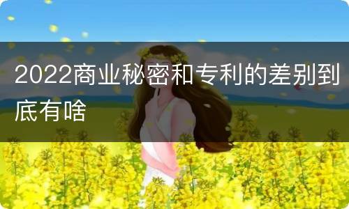 2022商业秘密和专利的差别到底有啥