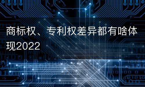 商标权、专利权差异都有啥体现2022