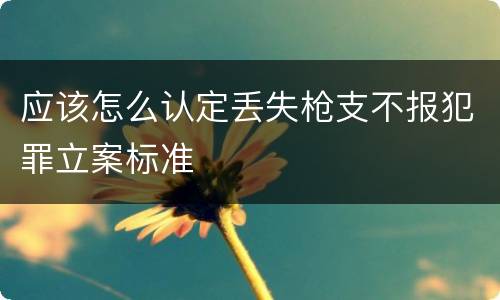 应该怎么认定丢失枪支不报犯罪立案标准