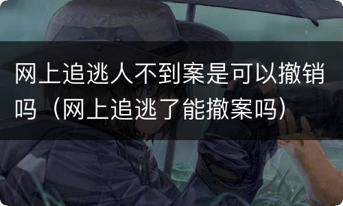 网上追逃人不到案是可以撤销吗（网上追逃了能撤案吗）