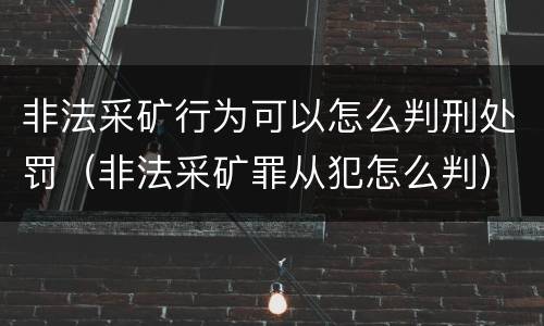 非法采矿行为可以怎么判刑处罚（非法采矿罪从犯怎么判）