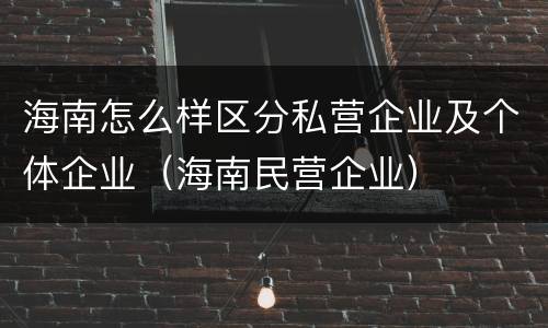 海南怎么样区分私营企业及个体企业（海南民营企业）