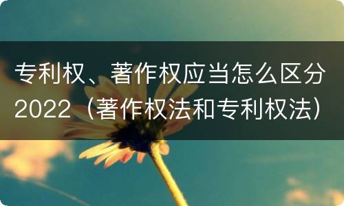 专利权、著作权应当怎么区分2022（著作权法和专利权法）
