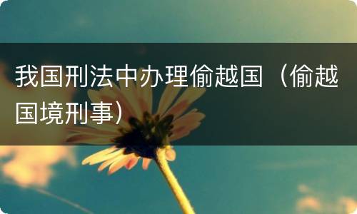 我国刑法中办理偷越国（偷越国境刑事）